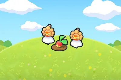 Sunny Day site