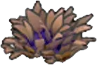 Dry yellow tall grass