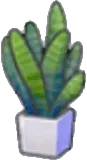 Flat-leaf plant
