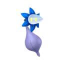 Glimmet