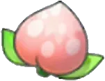 Pecha Berry