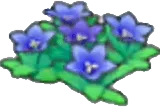Mountain flowers