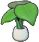 Leafy plant
