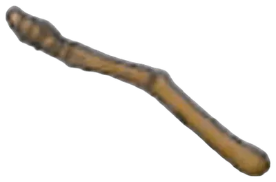 Wing Fossil (right wing)
