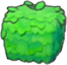 Square plant