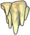 Stalactites