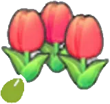 Cute-flower seeds