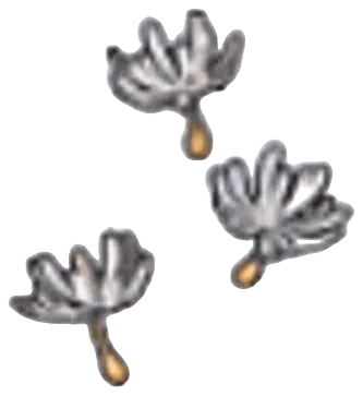 Cotton Spores