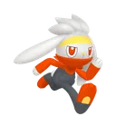 Raboot