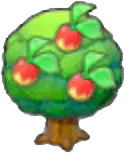 Leppa tree