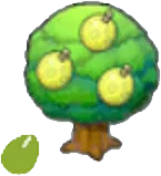 Aspear Seeds
