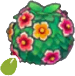 Healthy-hedge seeds