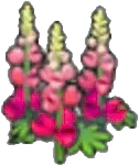 Robust flower
