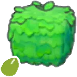 Square-plant seeds