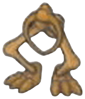 Despot fossil (legs)