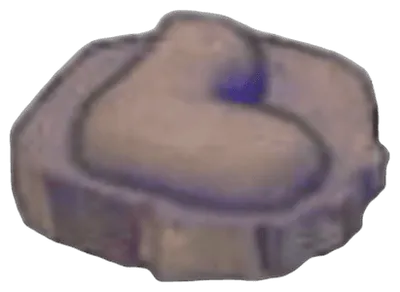 Jaw Fossil