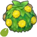 Stylish-hedge seeds