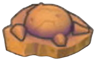 Skull Fossil