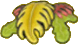 Seaweed