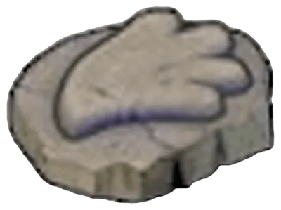 Sail Fossil
