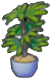 Tall potted plant