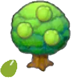 Lum seeds