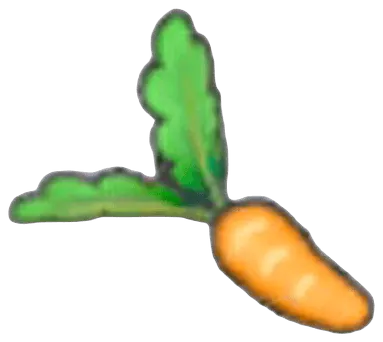 Fresh carrot