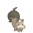 Skwovet