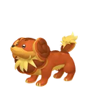 Dachsbun