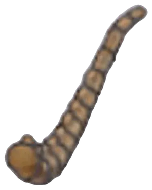 Wing Fossil (tail)