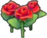 Beautiful flower